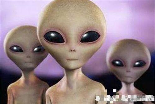 外星人最新爆料